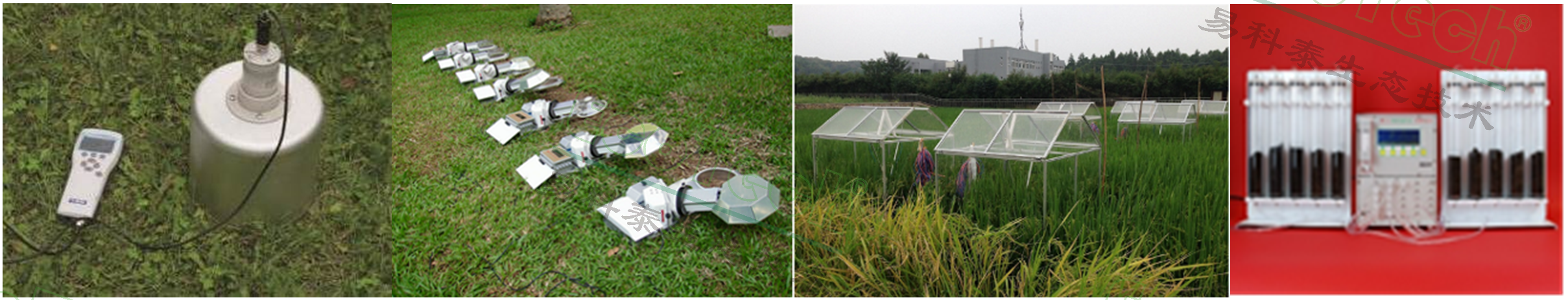 Z6��������ʱ���й����ٷ���վ