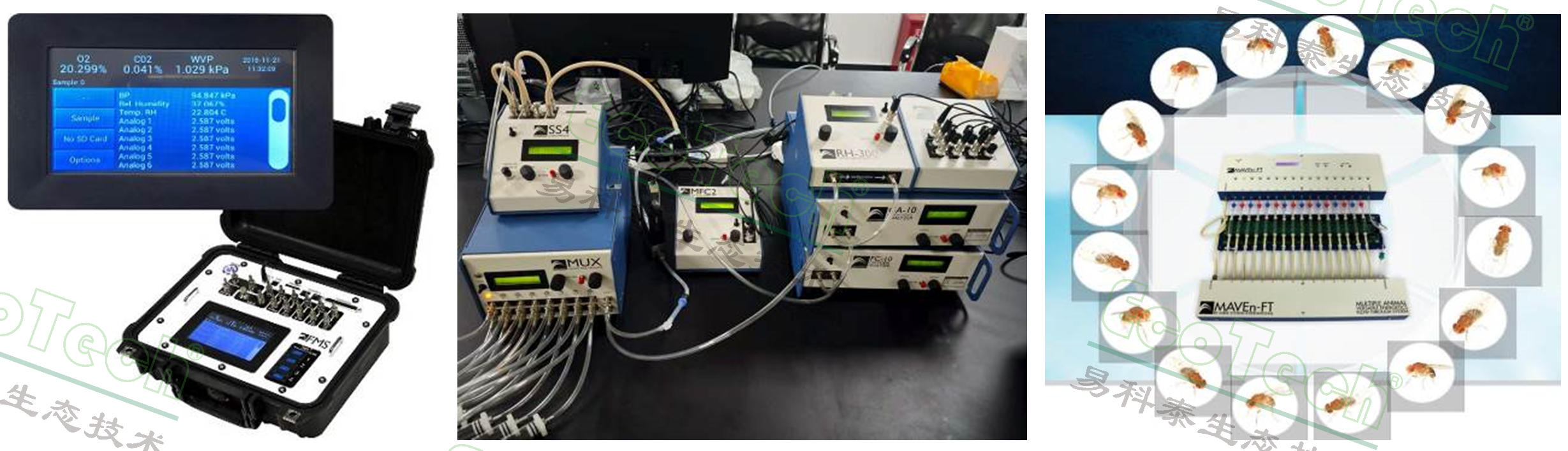 Z6��������ʱ���й����ٷ���վ