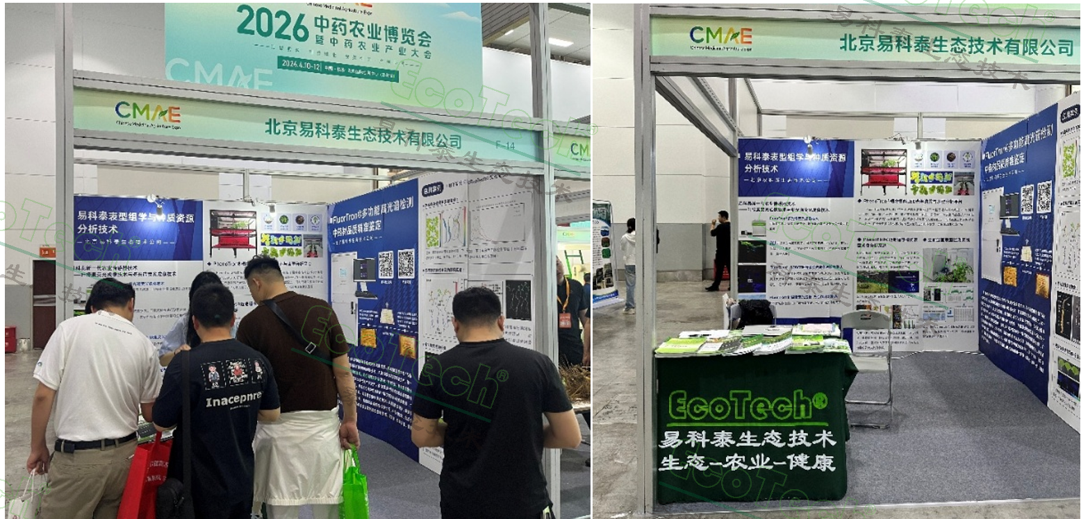 Z6��������ʱ���й����ٷ���վ