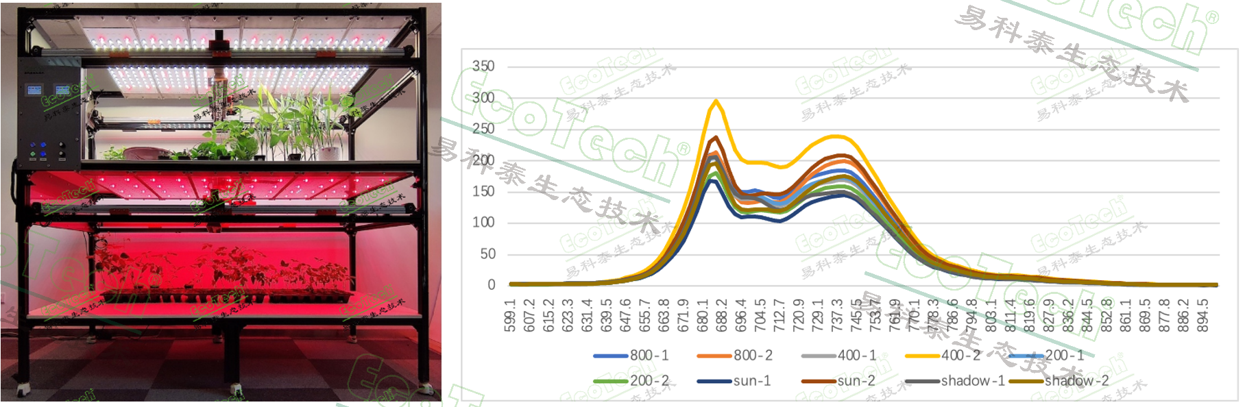 Z6��������ʱ���й����ٷ���վ